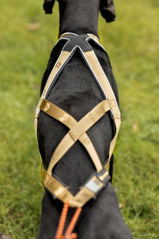 V.I.P. X-Back Zuggeschirr Signature Gold