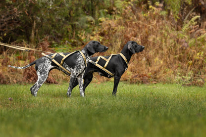 V.I.P. X-Back Zuggeschirr Signature Gold