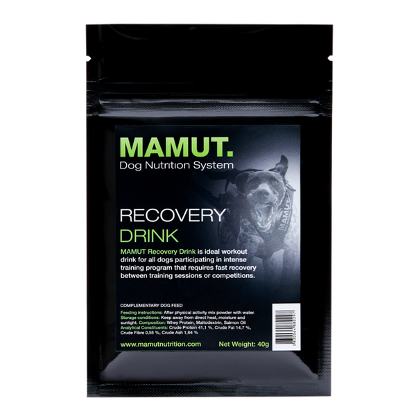 Mamut Complete Recovery Drink