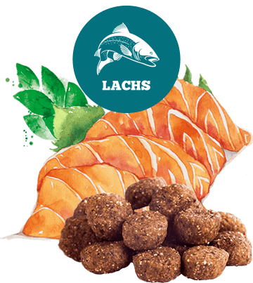 The Goodstuff Lachs (Adult)